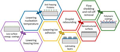 Antifreeze Proteins: A Tale of Evolution From Origin to Energy Applications